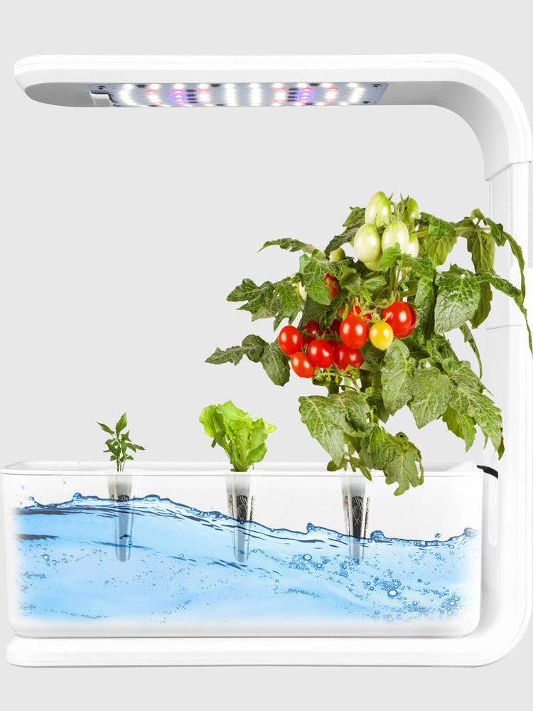 Indoor Hydroponic Plant Growing Machine