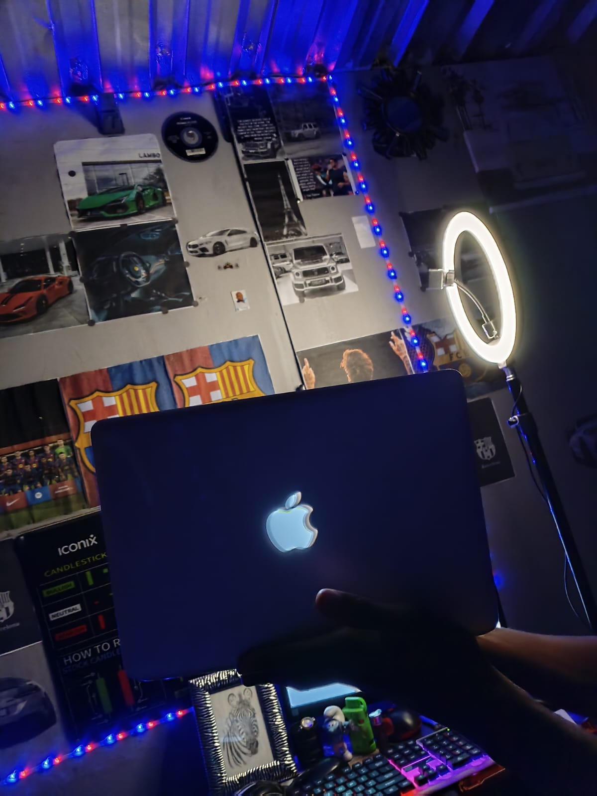 Apple Macbook Pro (13-Inch) Mid 2012